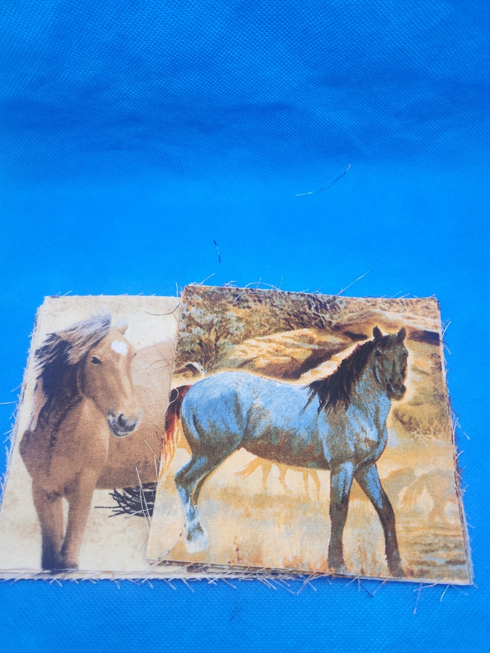 Horse 4.75 Inch Squares